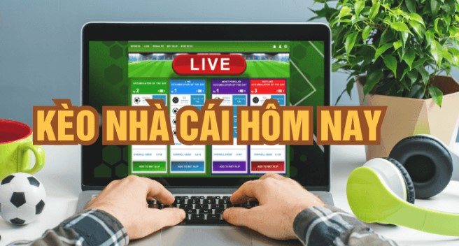 Các yếu tố ảnh hưởng đến tỷ lệ kèo